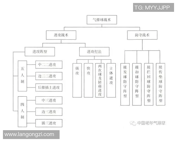 北京排球队整体压制体系的战术解析与实战应用探讨 北京排球队整体压制体系的战术解析与实战应用探讨